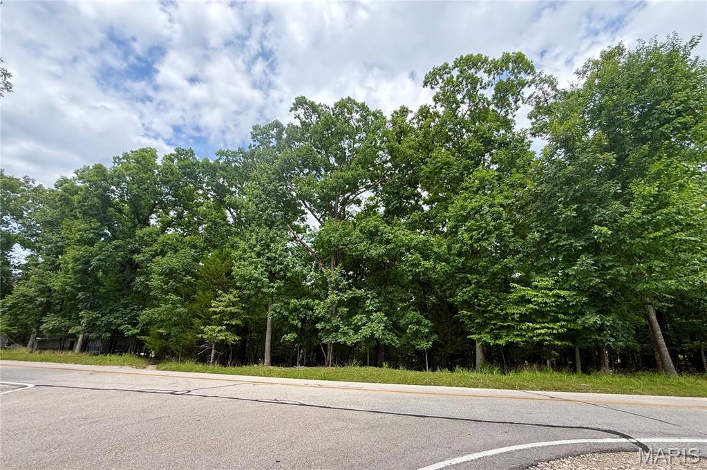 Tbd Cornett Branch Road Property Photo 2