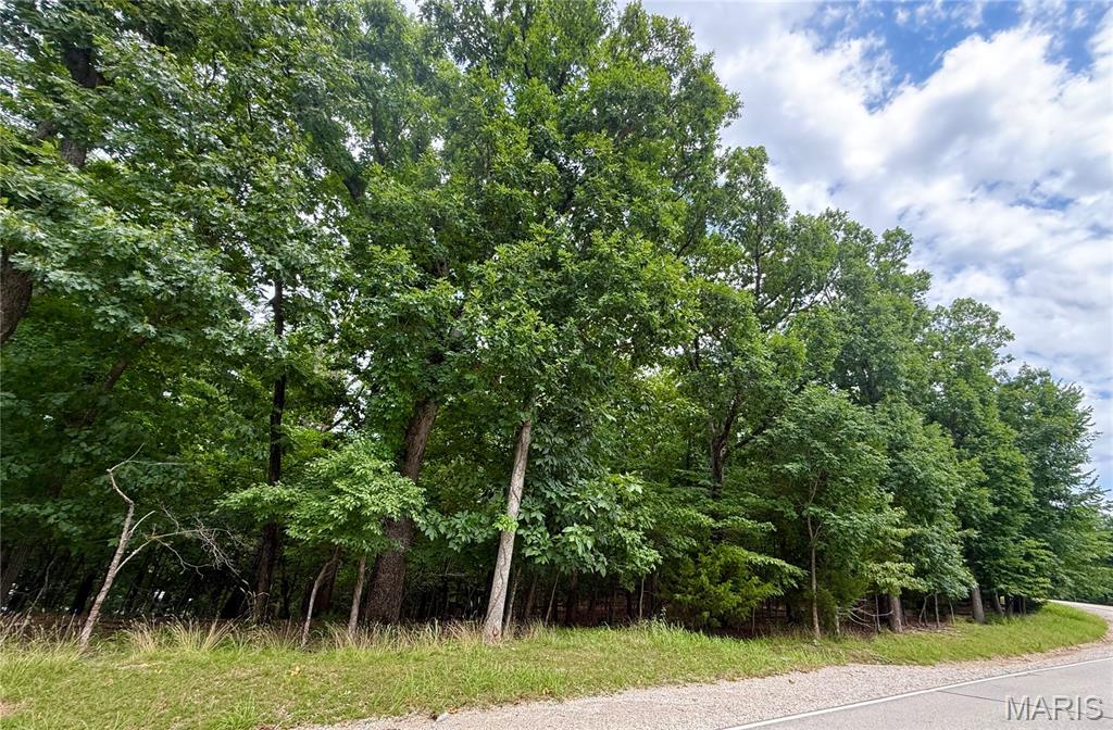 Tbd Cornett Branch Road Property Photo 3