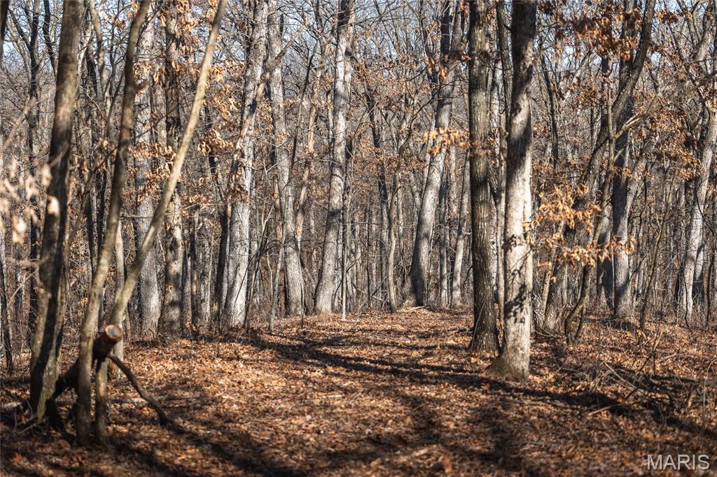 00 Tbd Jubilee Property Photo 51