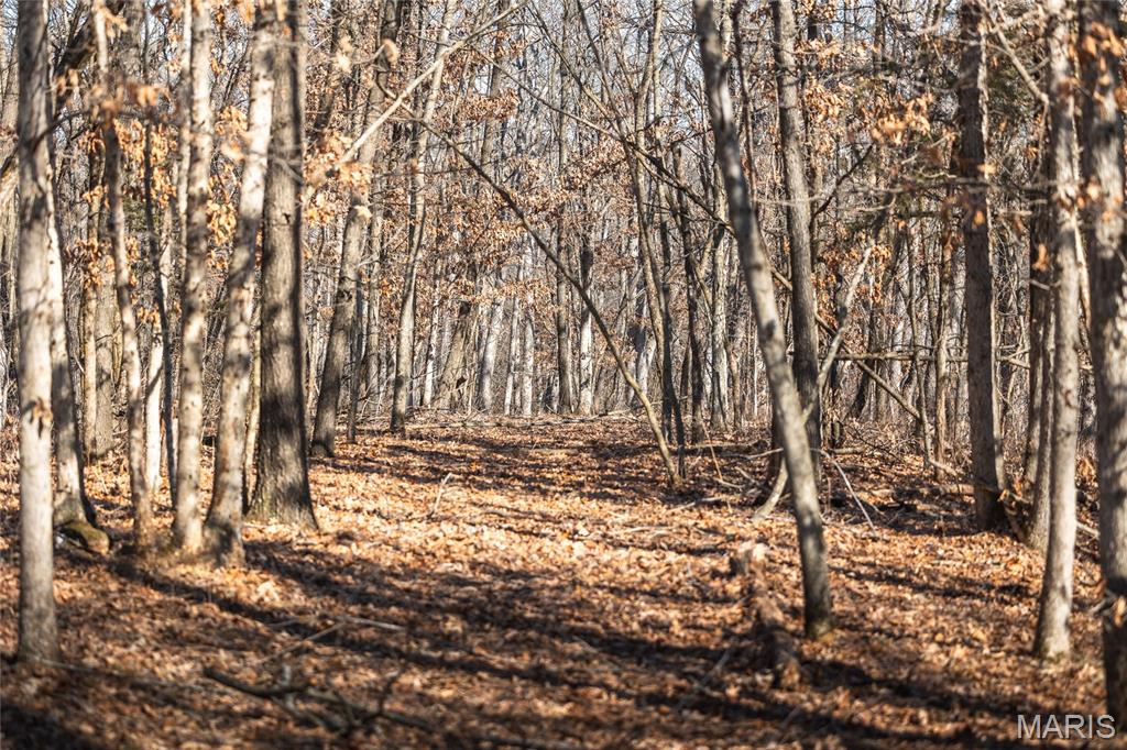 00 Tbd Jubilee Property Photo 52