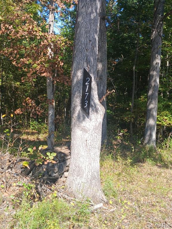 2173 Big River Trail Property Photo 1