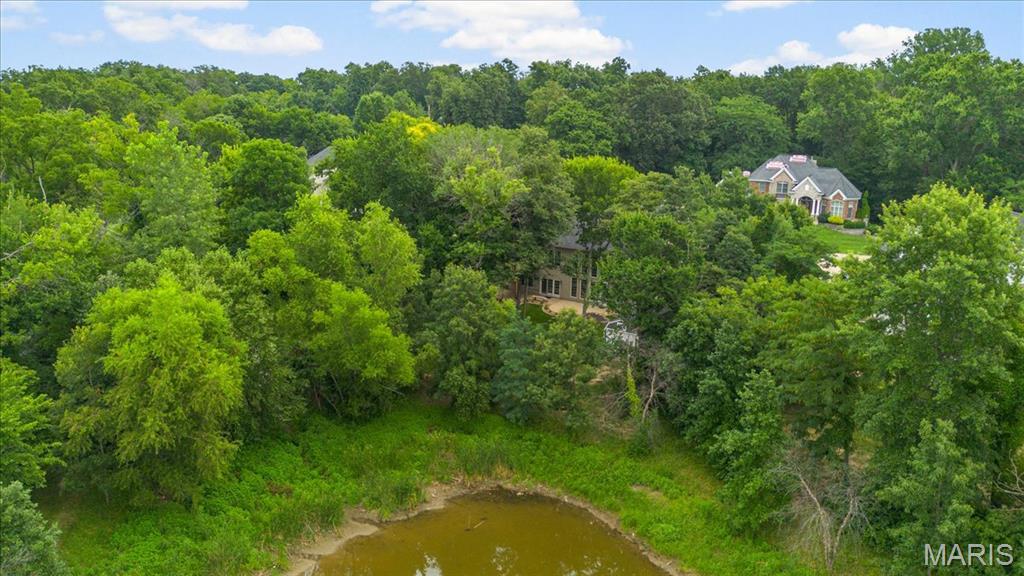 766 Southbrook Forest Court Property Photo 65