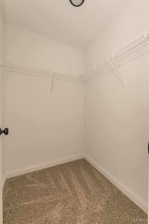 11 Oakview Court Property Photo 31