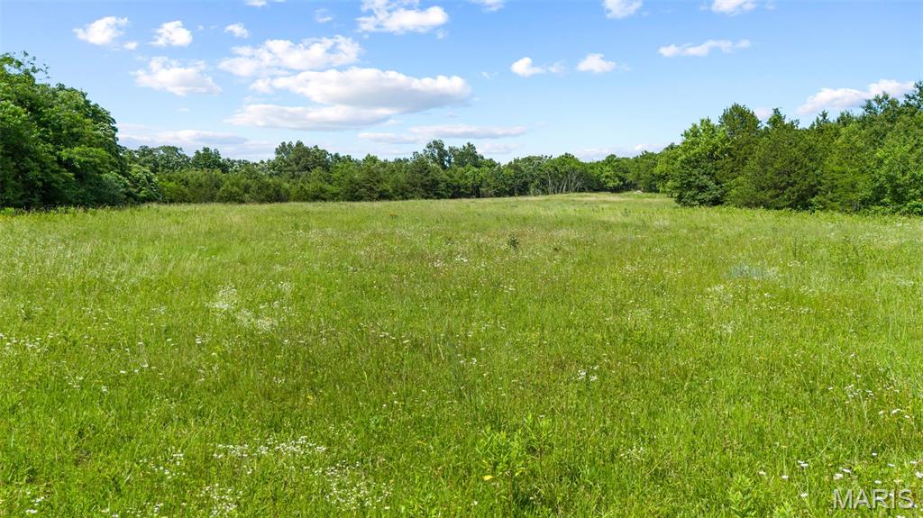 0 Whitetail Ln Property Photo 1