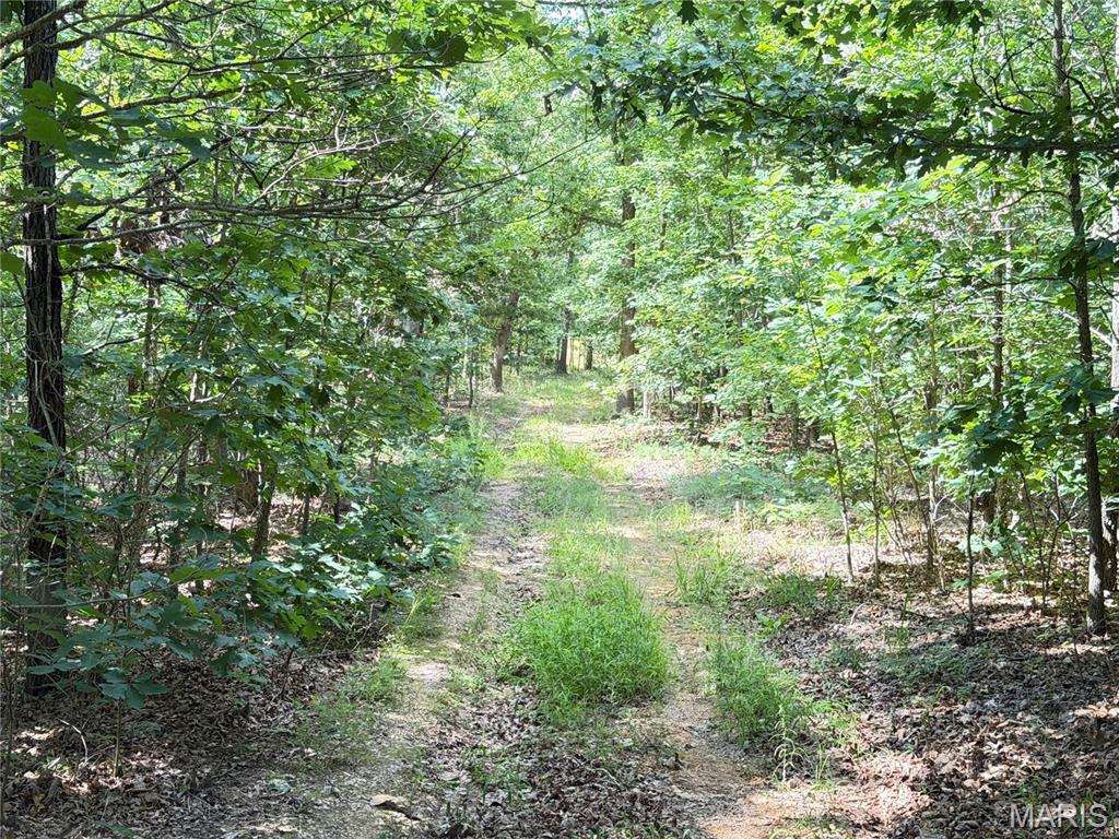 Tbd Tbd Property Photo 33
