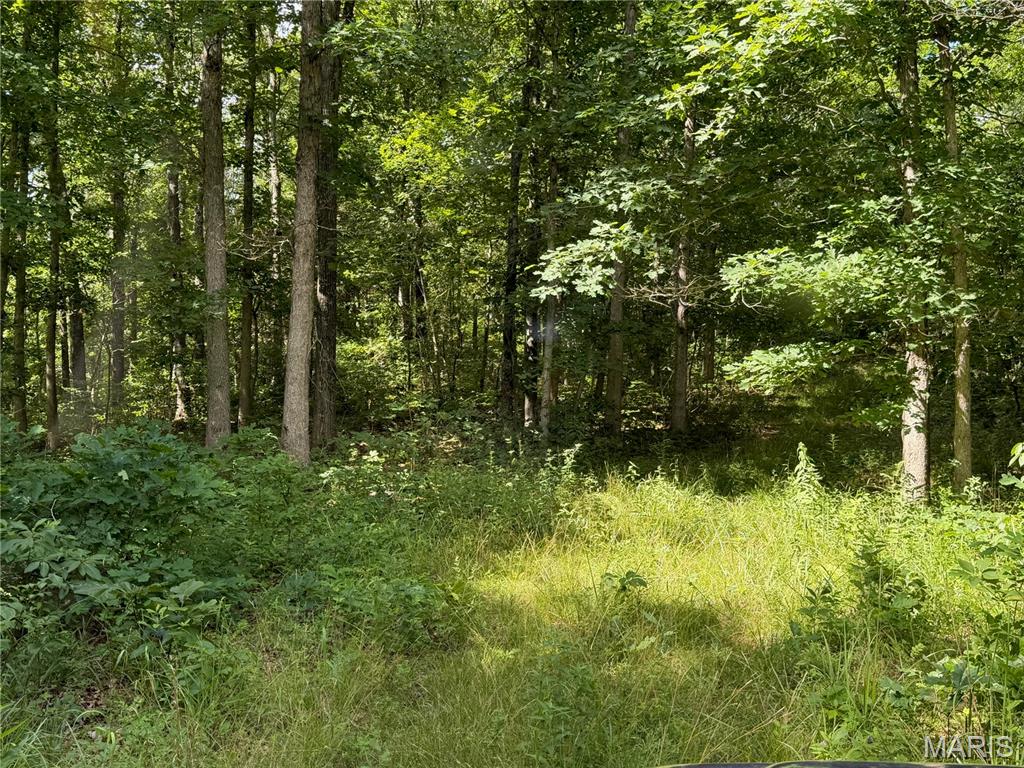 Tbd Tbd Property Photo 41
