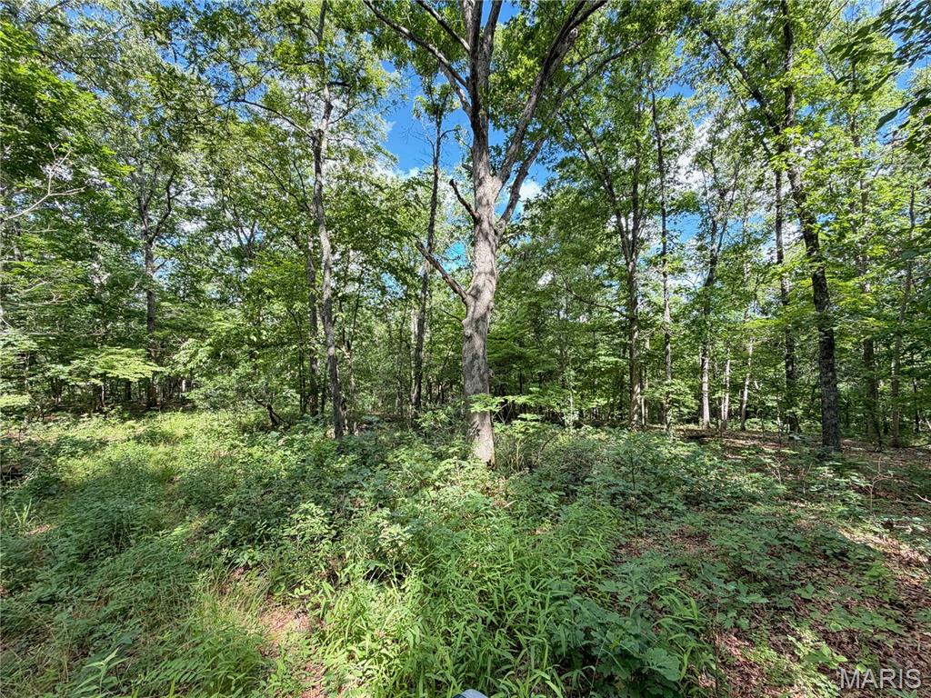 Tbd Tbd Property Photo 42