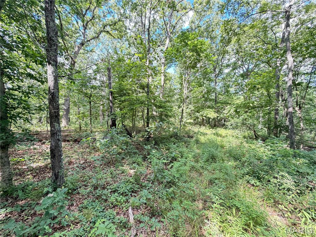 Tbd Tbd Property Photo 43