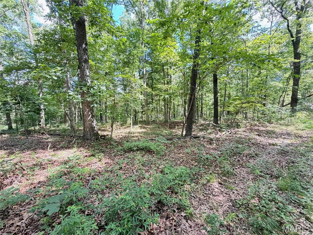 Tbd Tbd Property Photo 44