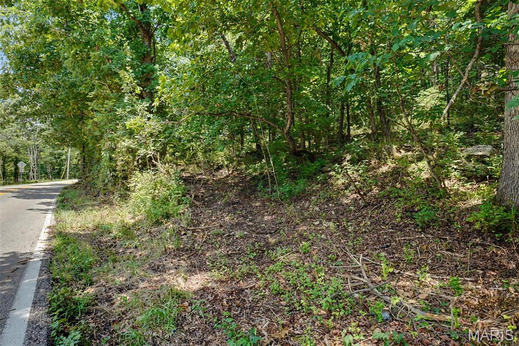 1410 Saint Paul Road Property Photo 5