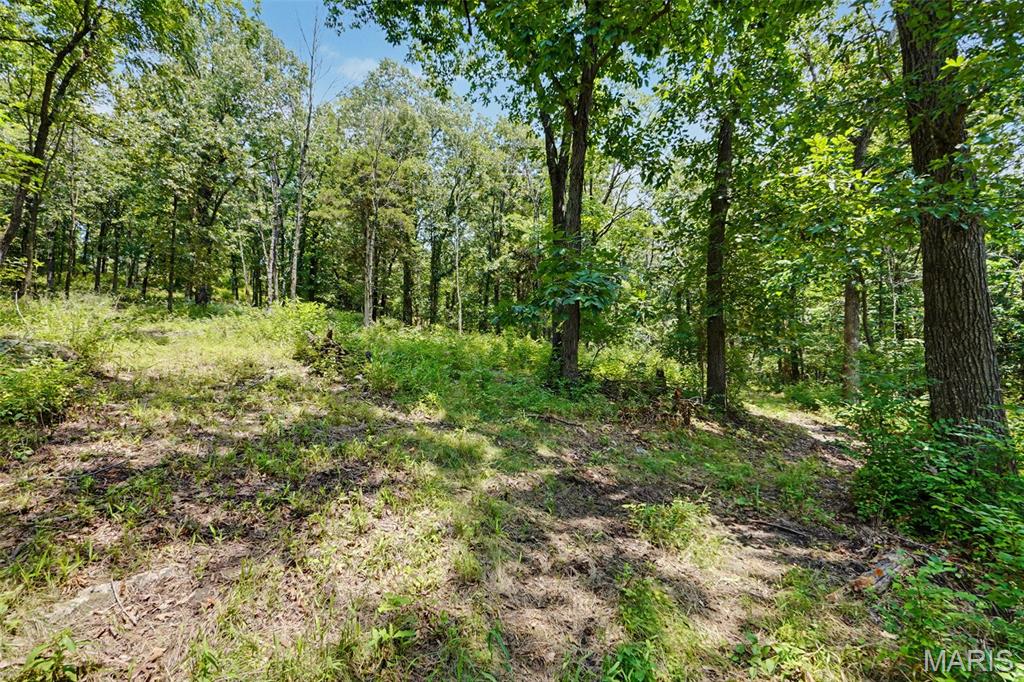1410 Saint Paul Road Property Photo 7