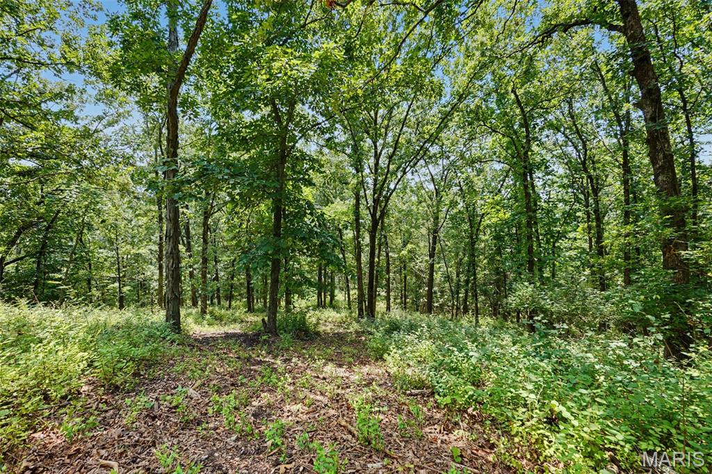 1410 Saint Paul Road Property Photo 8