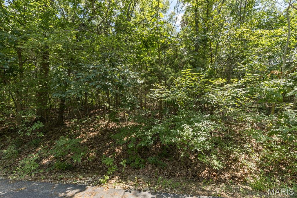 Lot 11b Southwoods Drive Property Photo 5