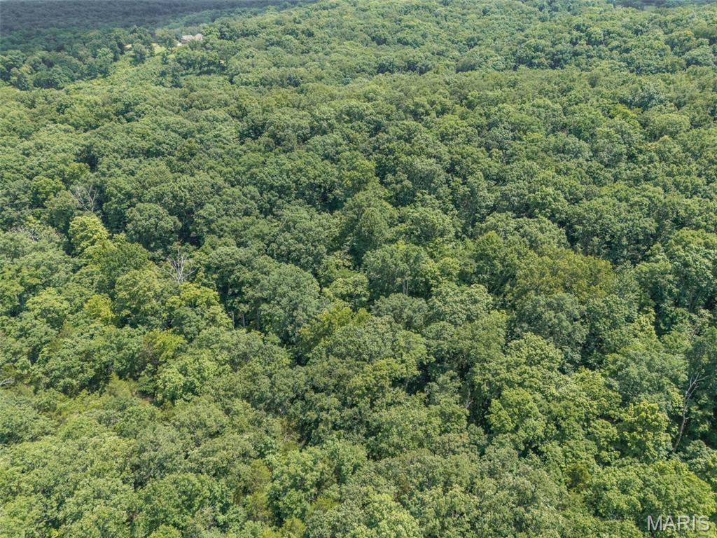 Lot 11b Southwoods Drive Property Photo 15
