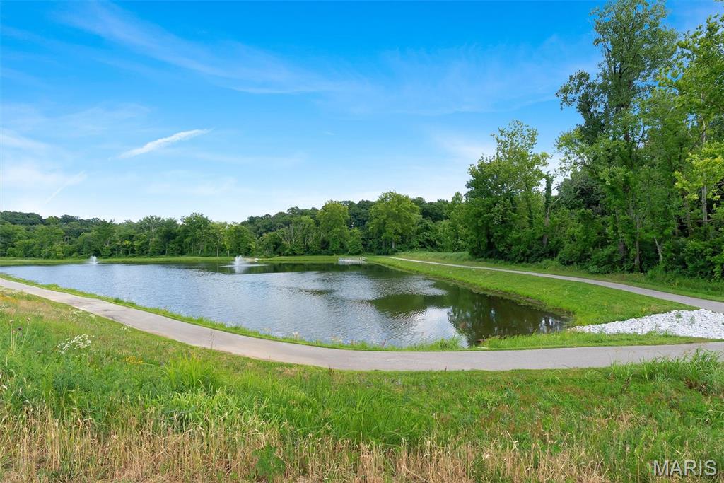 310 Rose Branchlet Court Property Photo 45