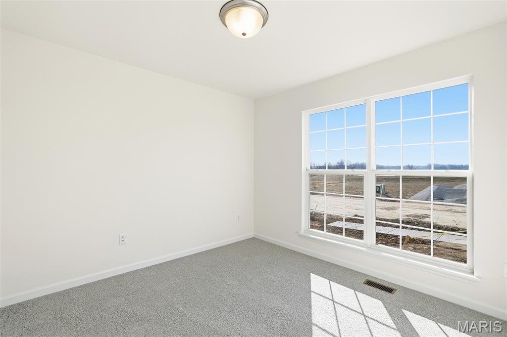 4605 Bella Terra Drive Property Photo 11