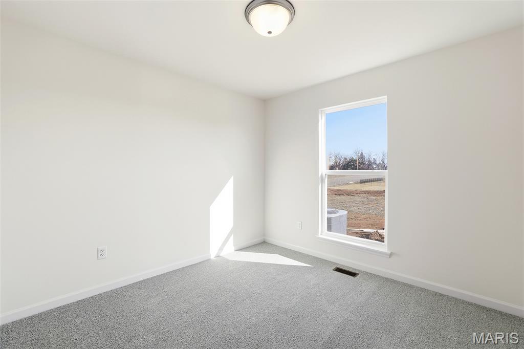4605 Bella Terra Drive Property Photo 18