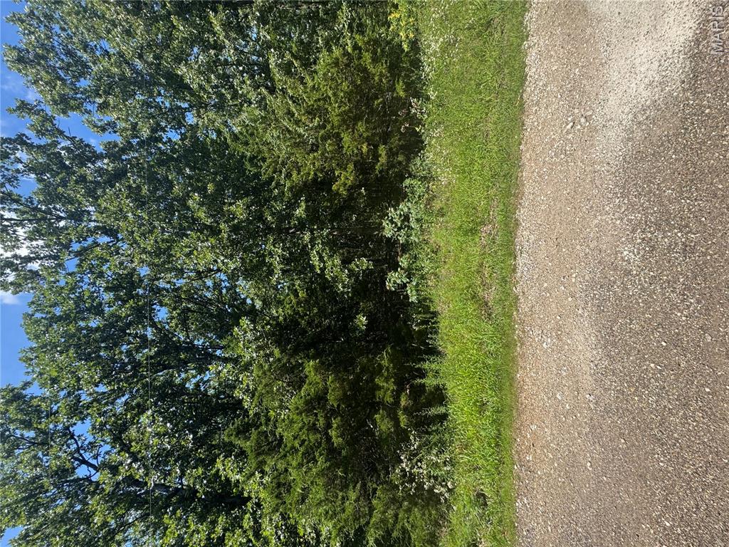 641 Briarwood Drive Property Photo 1
