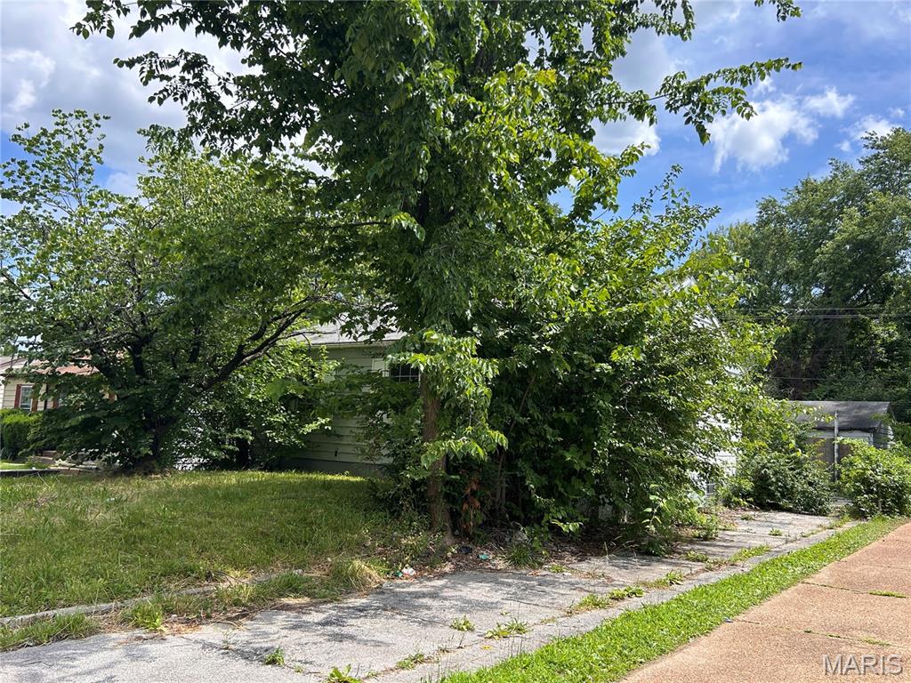 442 Cameron Road Property Photo 2