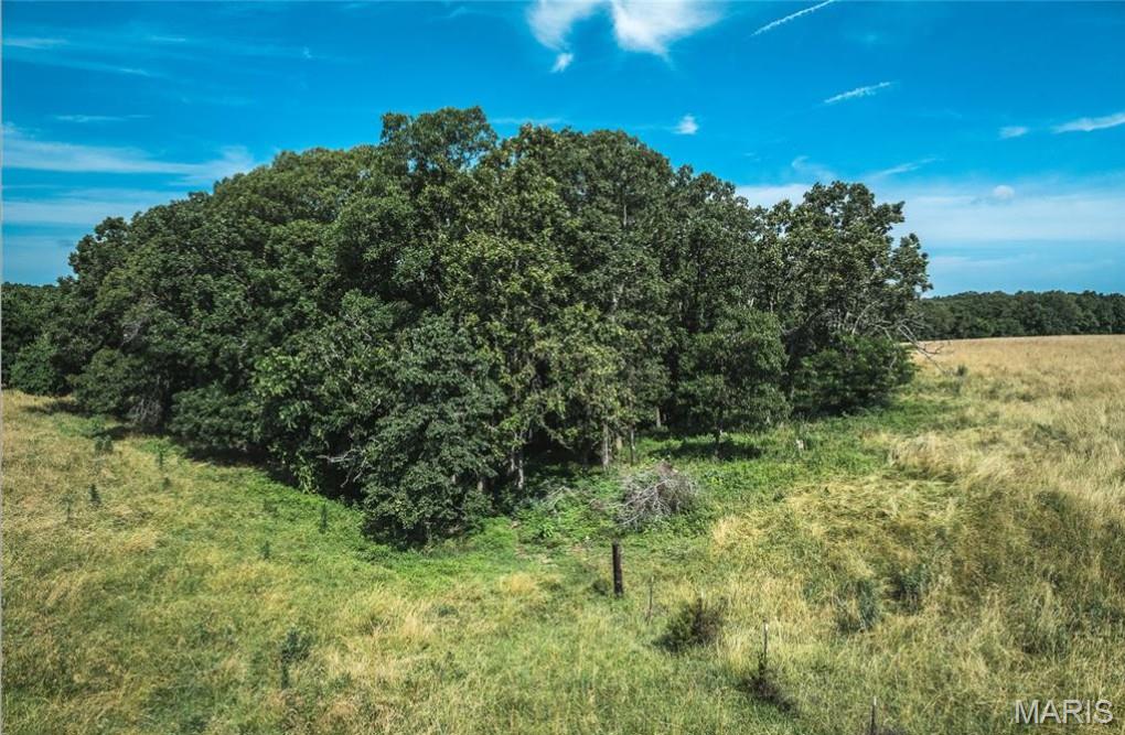 Tbd Kansas Road Property Photo 21