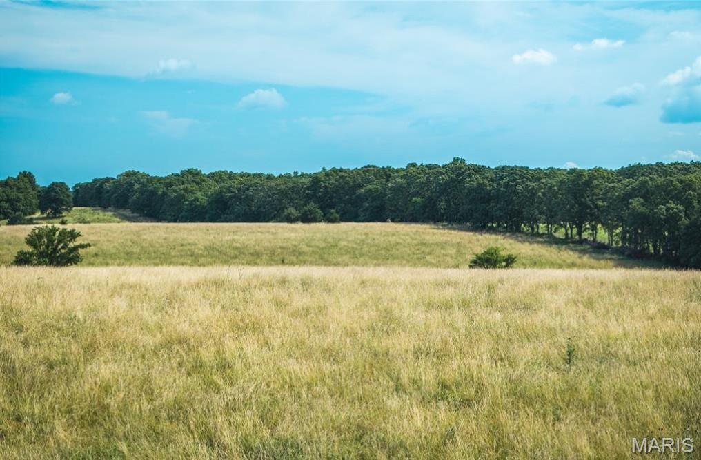 Tbd Kansas Road Property Photo 23