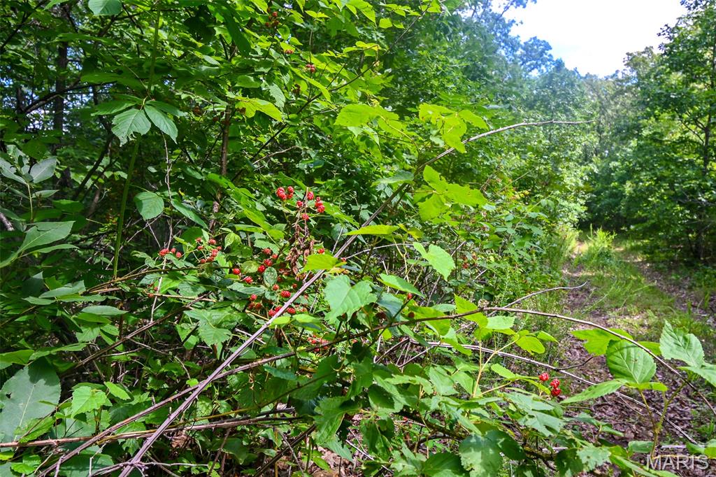 5760 Ne 817 Private Road Property Photo 35