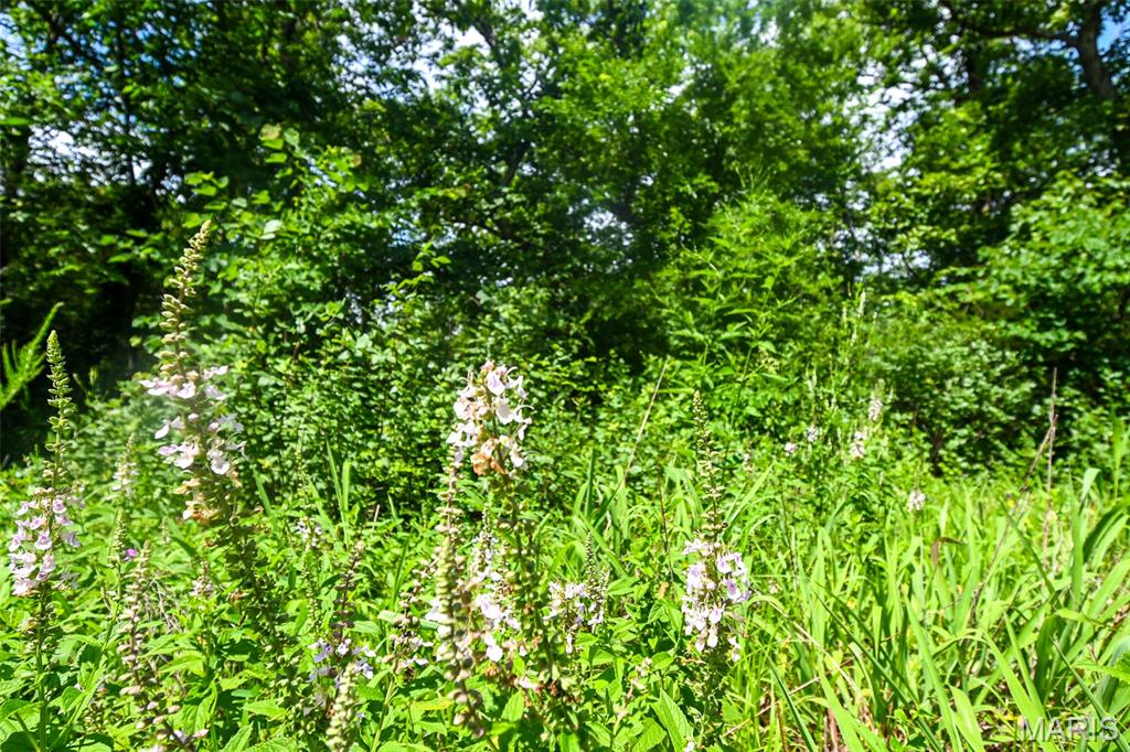 5760 Ne 817 Private Road Property Photo 38