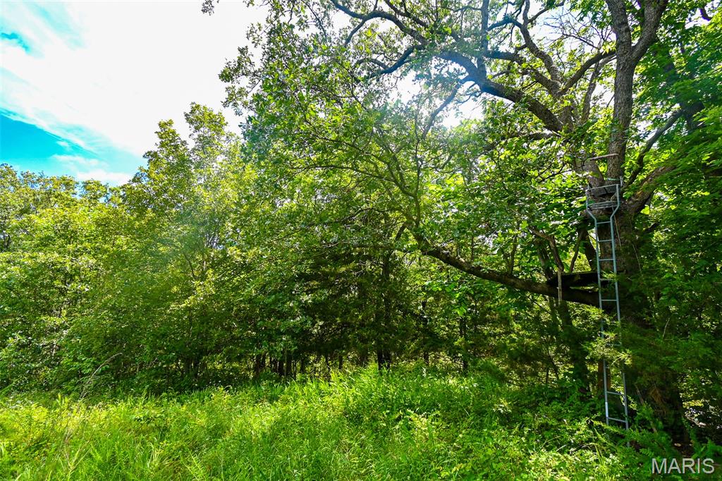 5760 Ne 817 Private Road Property Photo 39