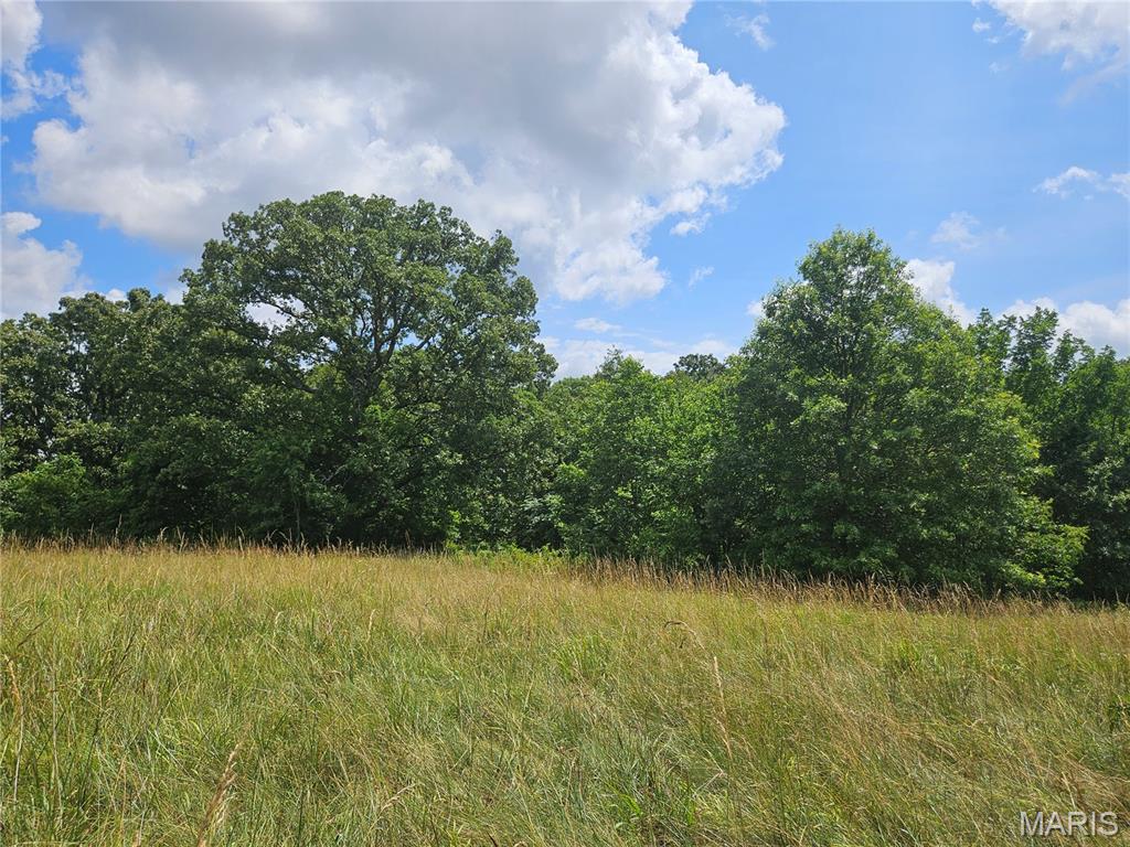 00 Misty Road Property Photo 6
