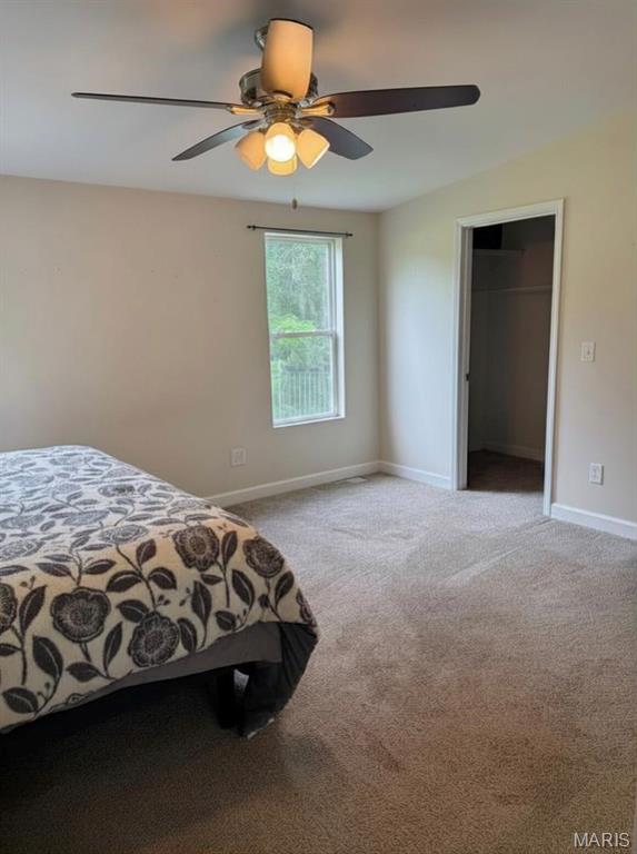 25484 Sky Drive Property Photo 24