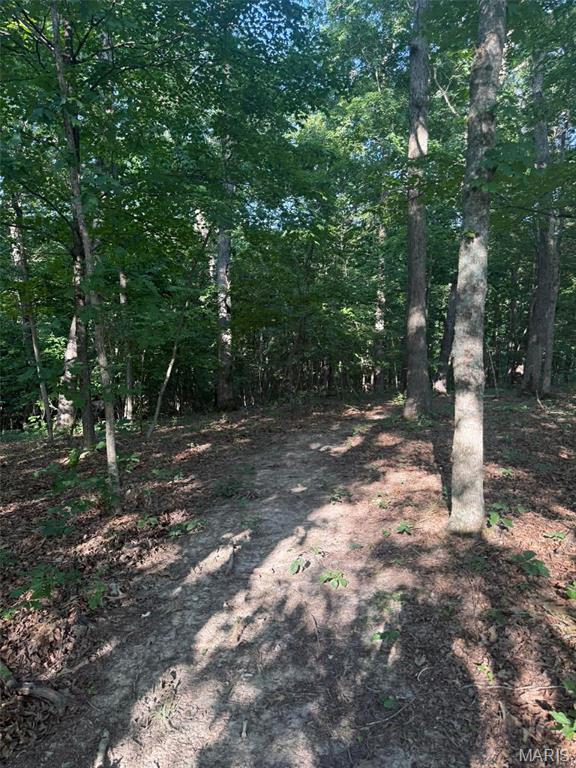25484 Sky Drive Property Photo 35