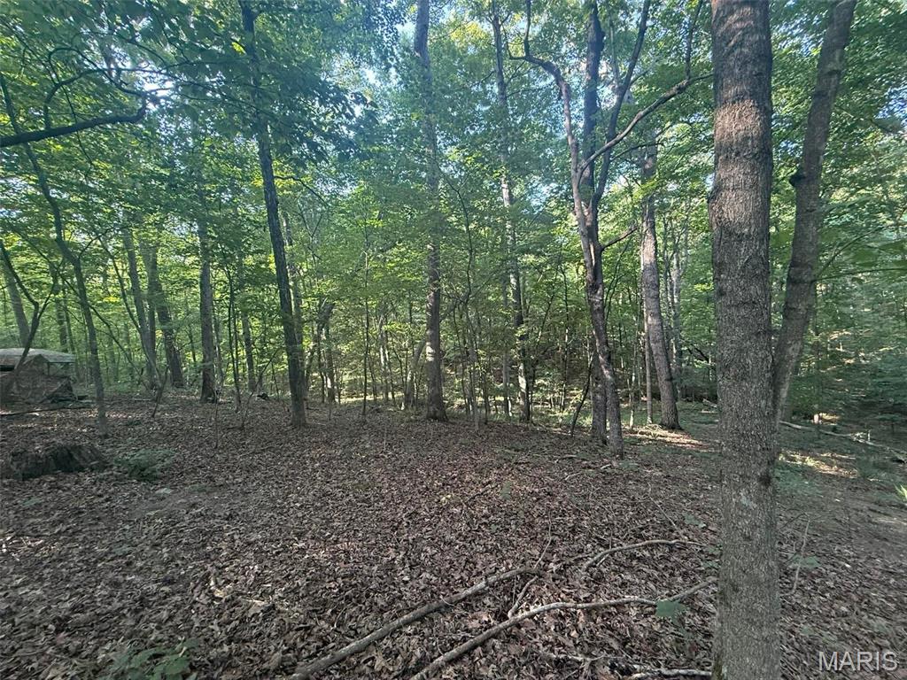 25484 Sky Drive Property Photo 40