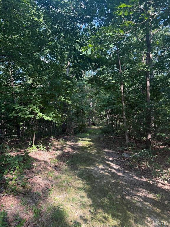 25484 Sky Drive Property Photo 41