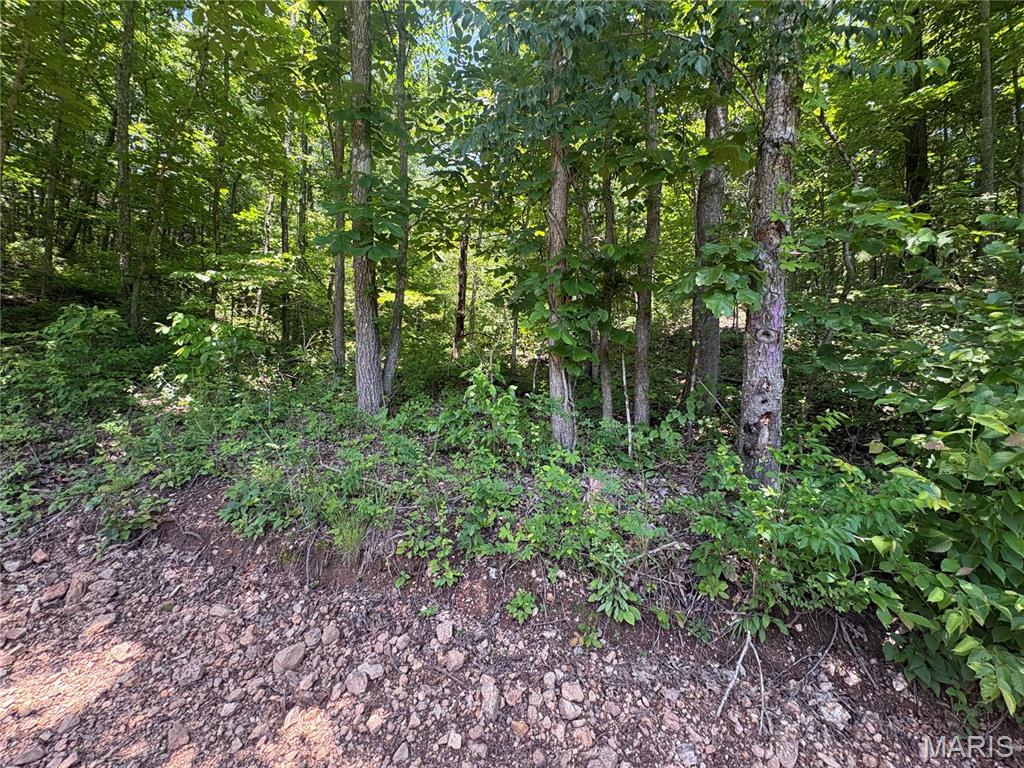 0 County Road 404 Property Photo 3