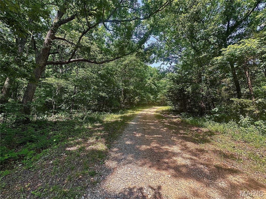 0 Rue Irene Property Photo 2