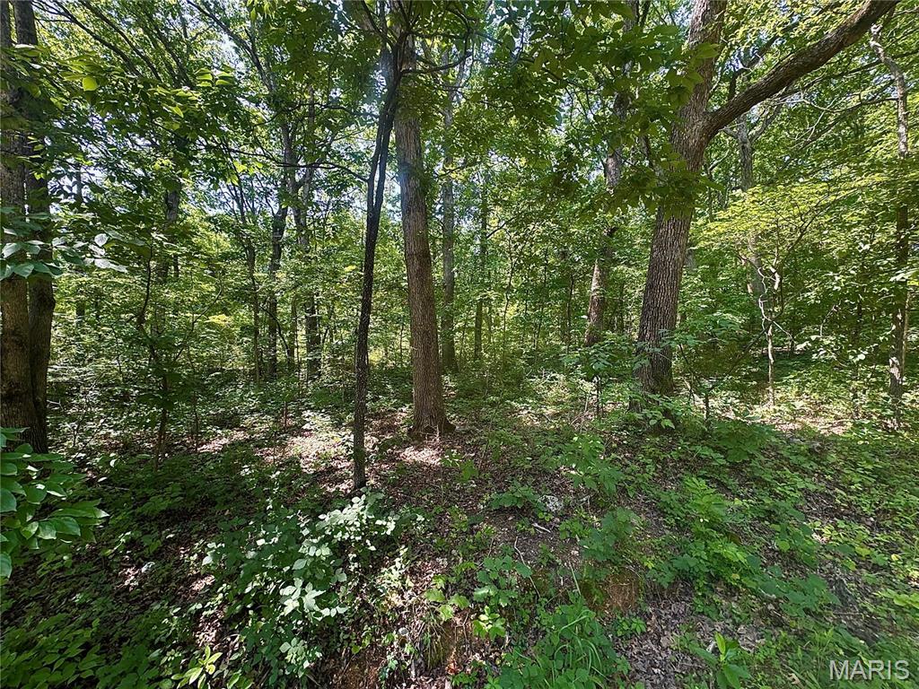 0 Rue Irene Property Photo 3