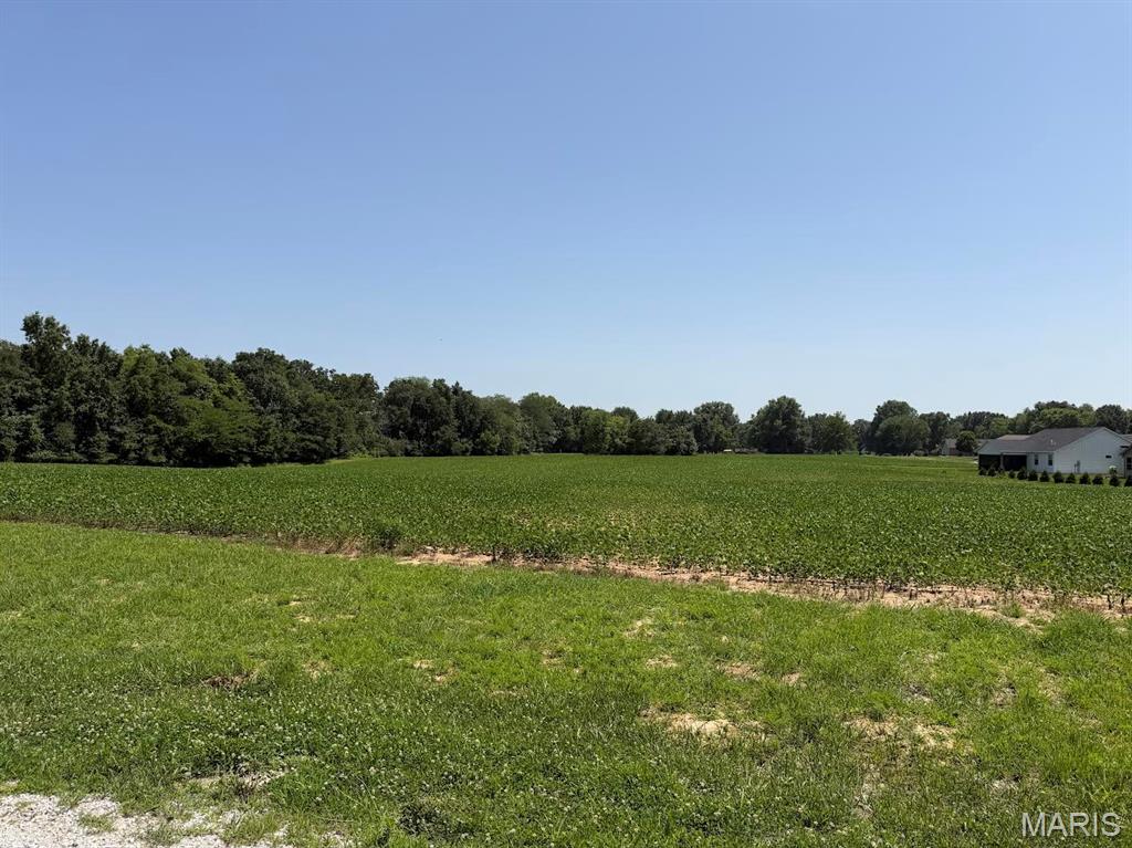 805 Wedgewood Lane Property Photo 1