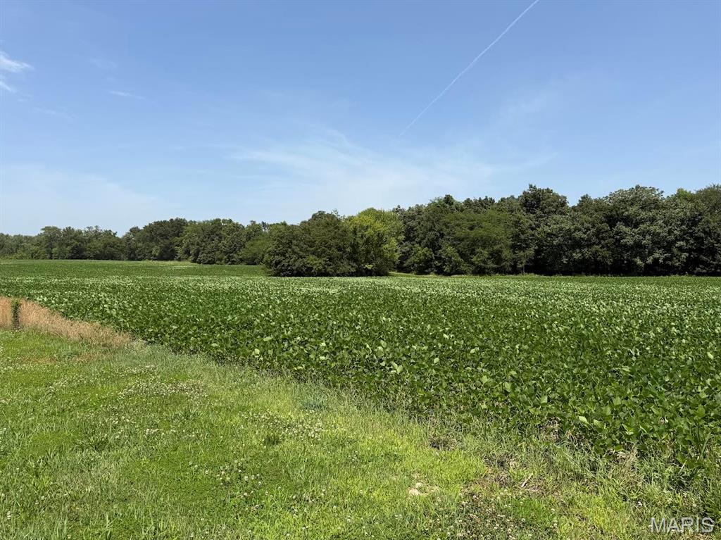 805 Wedgewood Lane Property Photo 3