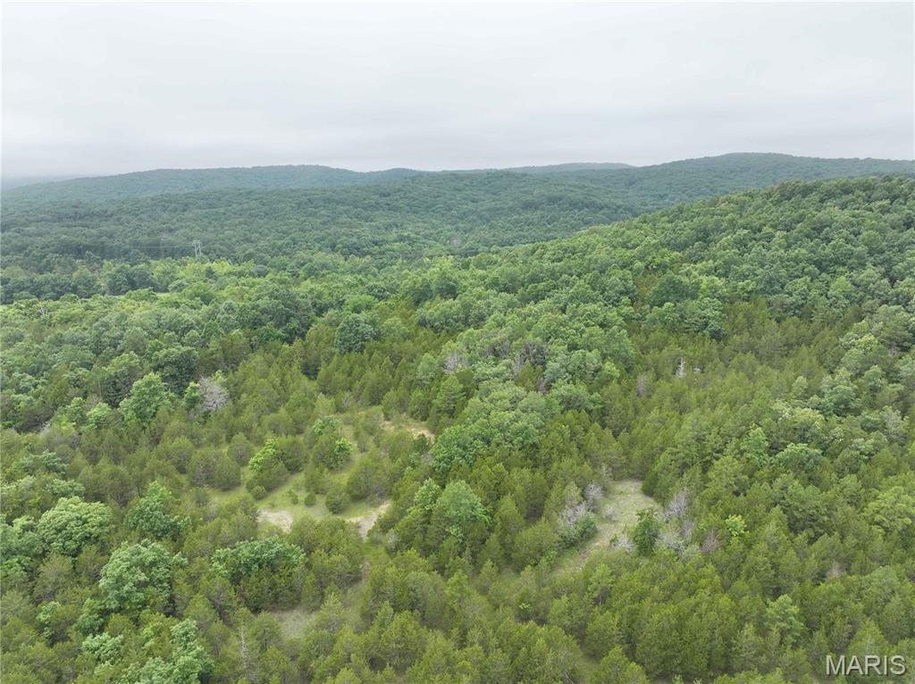 12607 Highway N Property Photo 16