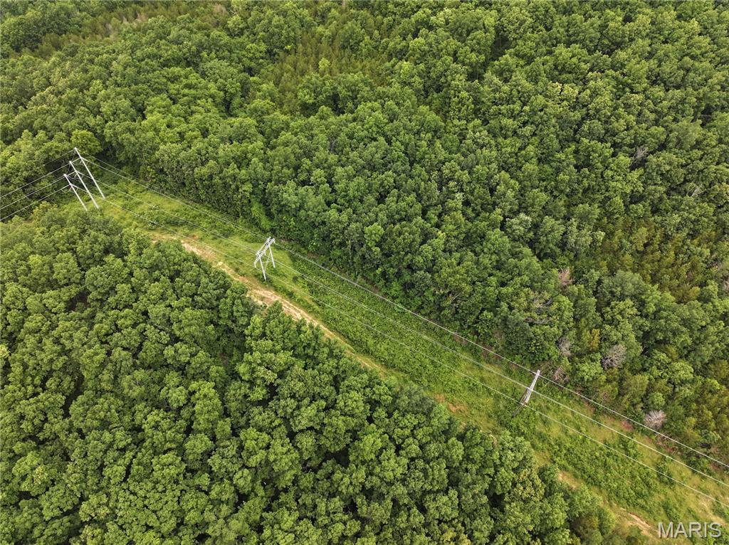 12607 Highway N Property Photo 17