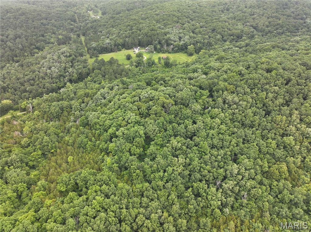 12607 Highway N Property Photo 18