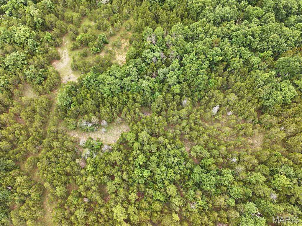 12607 Highway N Property Photo 24