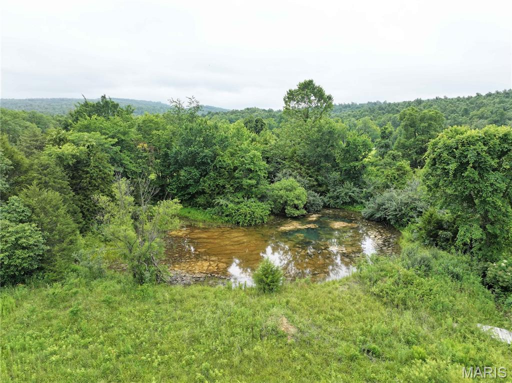 12607 Highway N Property Photo 33