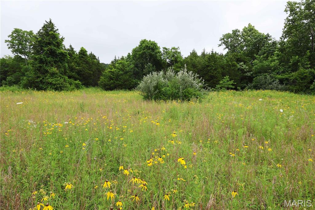 12607 Highway N Property Photo 49