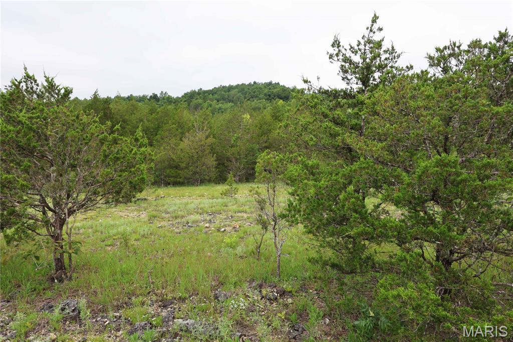 12607 Highway N Property Photo 50
