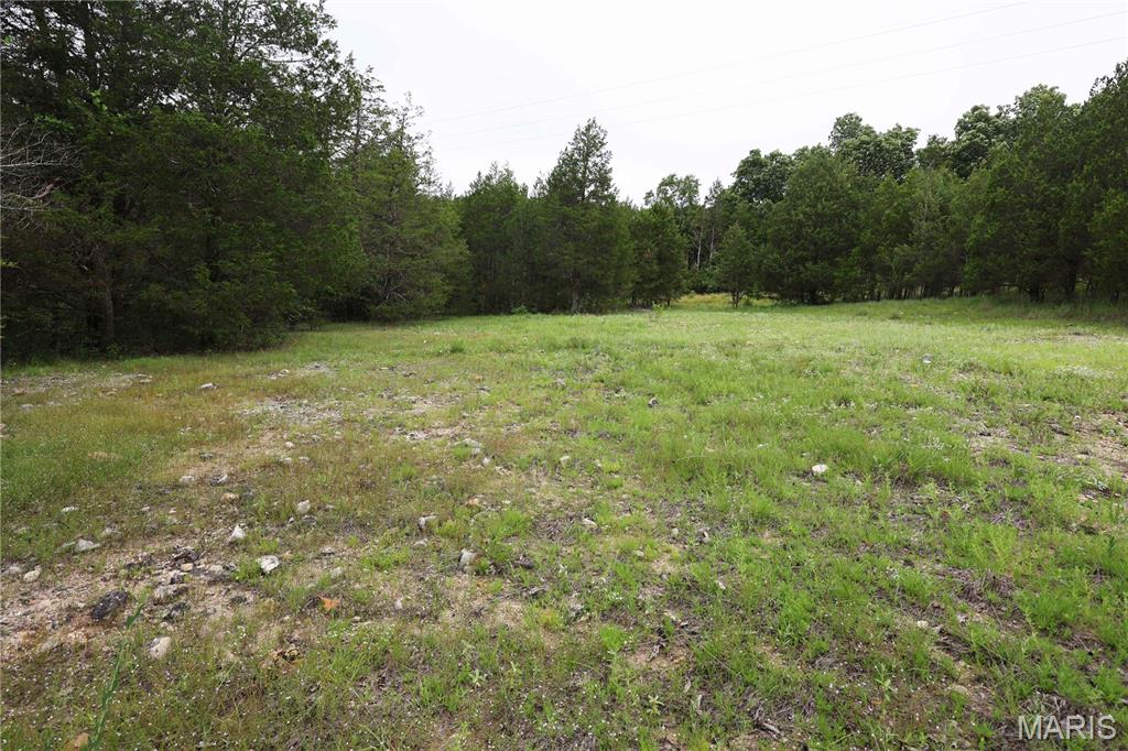 12607 Highway N Property Photo 52