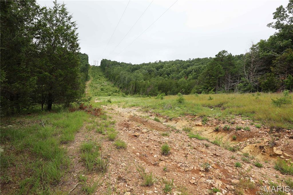 12607 Highway N Property Photo 53