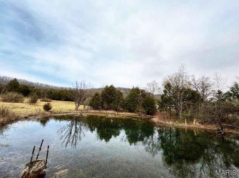 12607 Highway N Property Photo 87