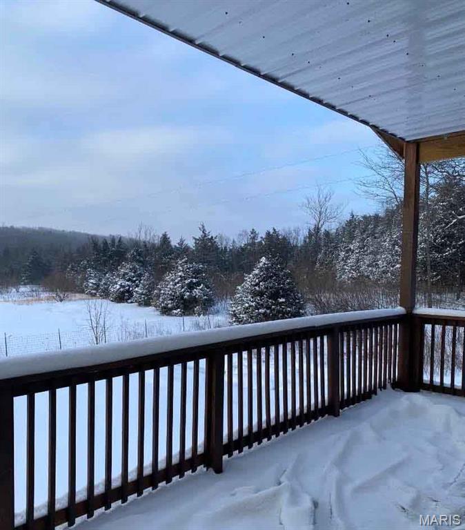12607 Highway N Property Photo 89