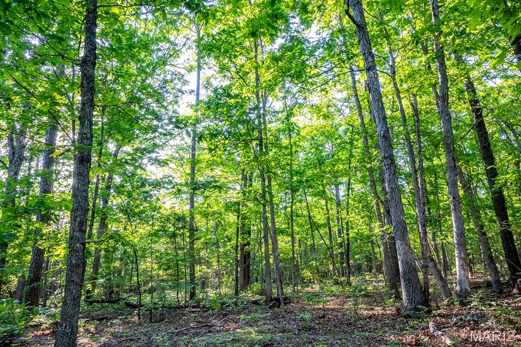 16051 Forrest Drive Property Photo 58